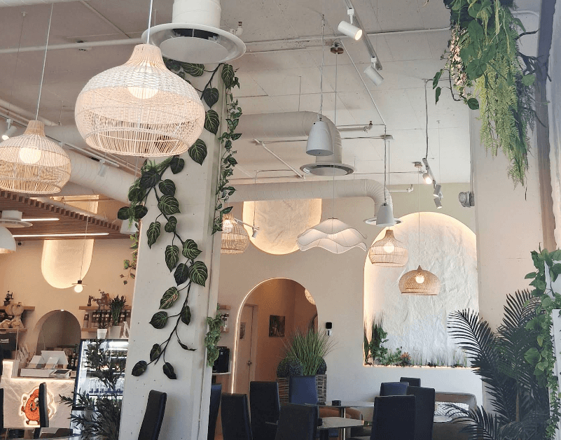 The bright plant-filled interior of Mr. Kaaké